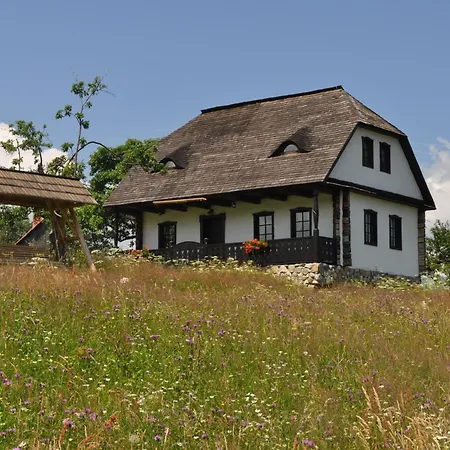 Casuta Bunicii Holiday home Bran (Brasov)