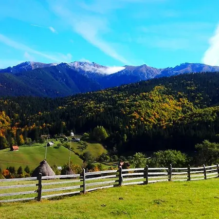 Casuta Bunicii * Bran (Brasov)