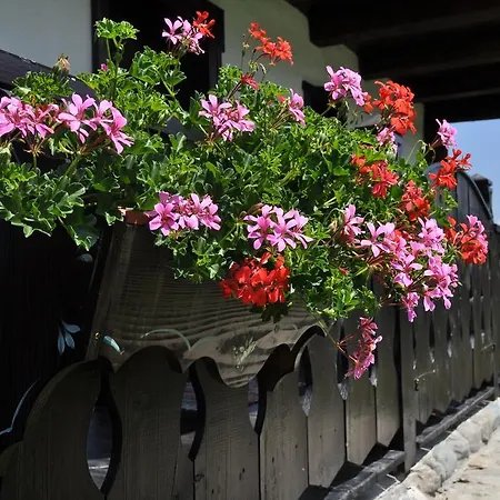 Casuta Bunicii * Bran (Brasov)