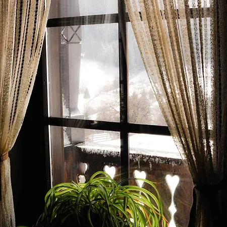Casuta Bunicii Holiday home *